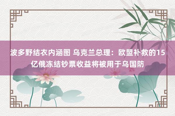 波多野结衣内涵图 乌克兰总理：欧盟补救的15亿俄冻结钞票收益将被用于乌国防