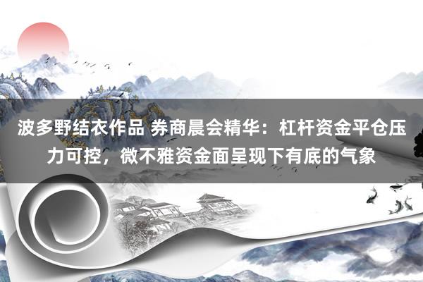 波多野结衣作品 券商晨会精华：杠杆资金平仓压力可控，微不雅资金面呈现下有底的气象