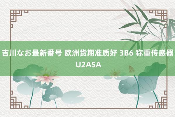 吉川なお最新番号 欧洲货期准质好 3B6 称重传感器 U2ASA