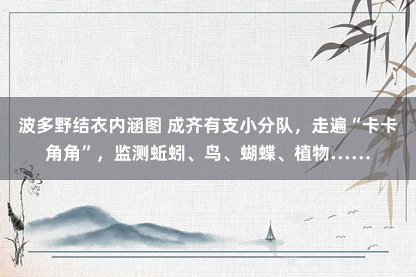 波多野结衣内涵图 成齐有支小分队，走遍“卡卡角角”，监测蚯蚓、鸟、蝴蝶、植物……