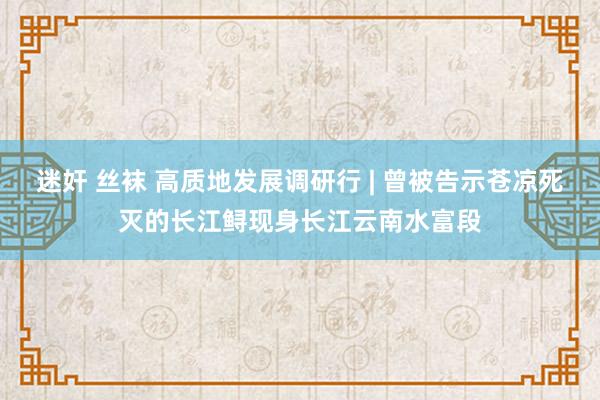 迷奸 丝袜 高质地发展调研行 | 曾被告示苍凉死灭的长江鲟现身长江云南水富段