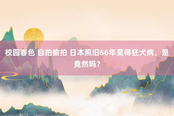 校园春色 自拍偷拍 日本照旧66年莫得狂犬病，是竟然吗？