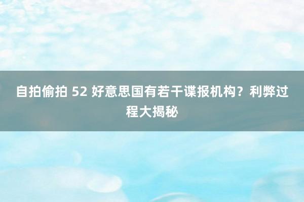 自拍偷拍 52 好意思国有若干谍报机构？利弊过程大揭秘