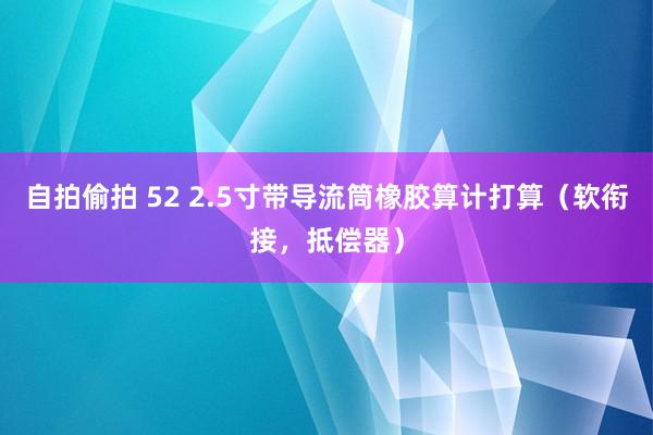 自拍偷拍 52 2.5寸带导流筒橡胶算计打算（软衔接，抵偿器）