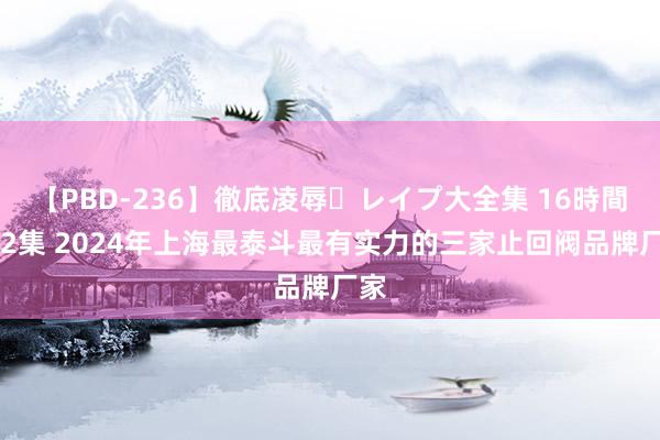 【PBD-236】徹底凌辱・レイプ大全集 16時間 第2集 2024年上海最泰斗最有实力的三家止回阀品牌厂家