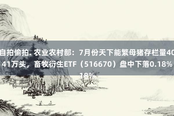 自拍偷拍. 农业农村部：7月份天下能繁母猪存栏量4041万头，畜牧衍生ETF（516670）盘中下落0.18%