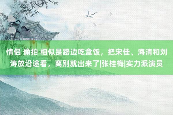 情侣 偷拍 相似是路边吃盒饭，把宋佳、海清和刘涛放沿途看，离别就出来了|张桂梅|实力派演员