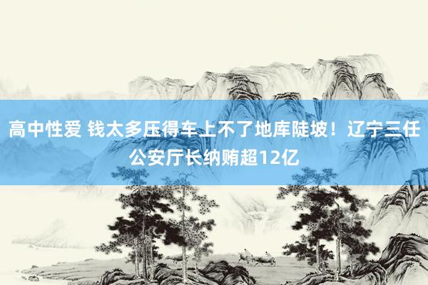 高中性爱 钱太多压得车上不了地库陡坡！辽宁三任公安厅长纳贿超12亿