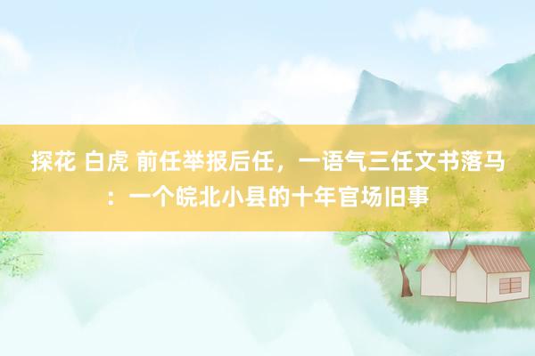 探花 白虎 前任举报后任，一语气三任文书落马：一个皖北小县的十年官场旧事