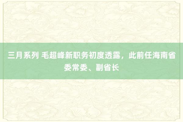 三月系列 毛超峰新职务初度透露，此前任海南省委常委、副省长